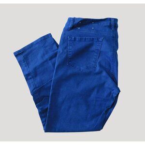 Ann Taylor Loft Jeans 32/14 Blue Denim Modern Fit Straight 5 Pocket Cotton